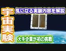 【ゆっくり解説】あの巨大企業が初めての宇宙実験に挑戦！　気になるその内容を解説