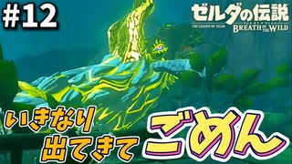 フロドラ「誠にすいまめ〜ん!」【ゼルダの伝説ブレス オブ ザ ワイルド】#12