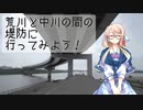 荒川と中川の間の堤防に行ってみよう！