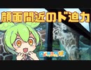 【猊鼻渓】【岩手サファリパーク】【中尊寺】岩手を満喫するずんだもん.Part6 【日帰り旅行祭2023】