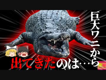 【2023年】「用水路に人間の一部が落ちている」  女性を咥えた体長5mの巨大ワニ 『フロリダ用水路アリゲーター事件』【ゆっくり解説】