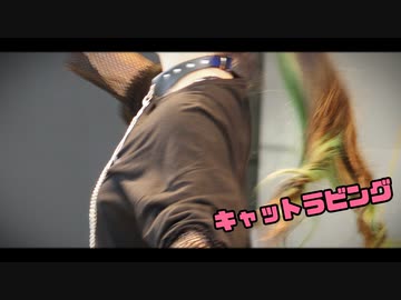 【すぅま】キャットラビング【踊ってみた】