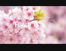HARU / 可不