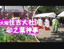 住吉大社　卯之葉神事　大阪の住吉大社の卯之葉神事に行きました。石舞台での舞楽もありました。