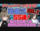 【FGO ガチャ】ガチャのツチノコ探索隊！両儀式目指して55連！　【Fate/Grand order　CV: VOICEPEAK 実況】