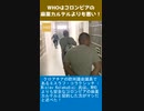 WHOはコロンビアの麻薬カルテルよりも悪い！