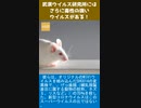 武漢ウイルス研究所には、さらに毒性の強いウイルスがある！