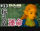 徐々に明かされるゼルダの秘められた想い【ゼルダの伝説ブレス オブ ザ ワイルド】#13