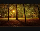 草木のように like grass and trees 【BGM】