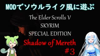 【Skyrim SE】スカイリムをMODでソウルライク風に遊ぶ【Shadow of Mereth編】#3