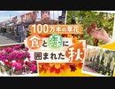 食と緑に囲まれた“秋”を満喫「グリーンマルシェ」に100万本の花やご当地グルメ