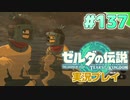 【実況】大空を翔る。ゼルダの伝説ティアーズオブザキングダム 実況プレイ！Part137【ゼルダの伝説TotK】