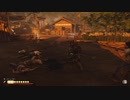 PS4配信｜對馬島之魂｜新遊戲+｜簡單+｜第一期 (21)