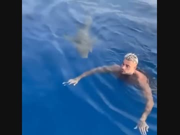 ホモと見る通り過ぎるサメ