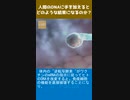 人間のDNAに手を加えると、どのような結果になるのか？
