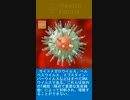 サイトメガロウイルス、ヘルペスウイルス、エプスタイン・バーウイルスなどはすべてDNAウイルスである