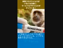 新型コロナウイルスがいなくなる前に、マールブルグウイルスがやってくる！
