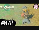 【ティアキン＃78】凡人が行く龍泪旅