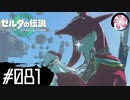 【ティアキン＃81】凡人が行く龍泪旅