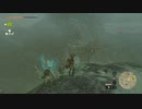 【Switch】リンクがゾナウとゼルダ探し旅【プレイ動画】part61