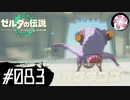 【ティアキン＃83】凡人が行く龍泪旅