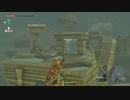 【Switch】リンクがゾナウとゼルダ探し旅【プレイ動画】part63