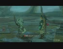 【Switch】リンクがゾナウとゼルダ探し旅【プレイ動画】part64