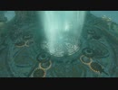 【Switch】リンクがゾナウとゼルダ探し旅【プレイ動画】part65