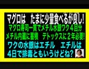 23・10・14朝　マグロは　メチル水銀多いから少量！食べ過ぎ注意！
