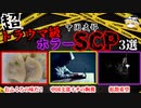 【ゆっくり解説】眠れなくなっても責任はとれません。トラウマ級なホラーSCP3選！ 中国支部