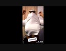 Tiktokミームダンス (Glass_on_and_bounce)