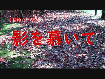 影を慕いて