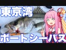 琴葉茜と巡る東京湾クルージング｜ボートシーバス編