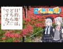 目的地はどちらですか？番外編二話「巾着田/サイボク」【日帰り旅行祭2023】