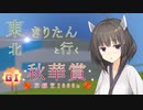 【競馬予想】きりたん、秋華賞賭けるってよ（2023）【ボイロ競馬部】