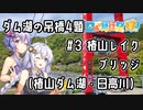 【日帰り旅行祭2023】ダム湖の吊橋4題 #3 椿山レイクブリッジ