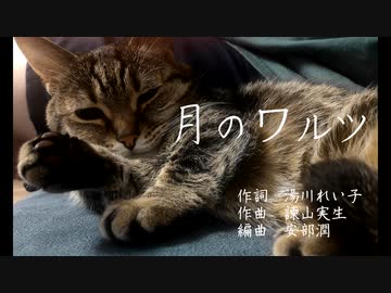 【Shing-a-ling!】月のワルツ【歌ってみた】【是非うちのかわいい猫を見てくれ】