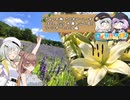 【日帰り旅行祭2023】きせつの旅 さぶすぴーしーず 2023. July 兵庫の山と花！ラベンダーとユリ 編