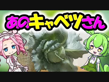 あのキャベツさんにキャベツ