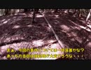 (とある事件解決編)変態忍者の、有害鳥獣駆除従事活動記・その２５６