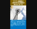 ワクチン接種者は、人間本来の生体磁場を持たなくなった-2