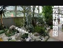 【第191回】牧野植物園⑦とガムと収穫といきものだいすき