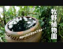 【第192回】牧野植物園⑧とカミカミとレモンと8ha