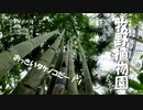 【増刊号】#65 牧野植物園行ったよー！！③