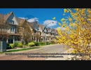 Professional Cleaning Services Company