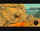 #24【ゼルダの伝説 ブレス オブ ザ ワイルド】歩いてたら体が燃えてた！