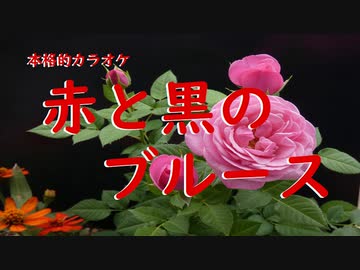 赤と黒のブルース