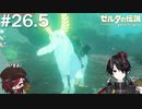 青白い光のもとにあるもの[ゼルダの伝説 ブレスオブザワイルド]＃２６．５