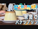 【日帰り旅行祭2023】奈良でバケツプリン【seirenvoice】
