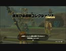 【ゼルダの伝説 ティアーズ オブ ザ キングダム】再びハイラルを救うまで【実況】 part128